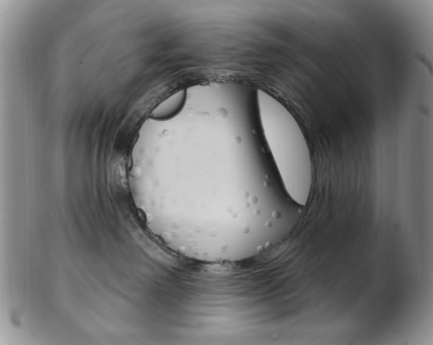 X0000103170238200808221135