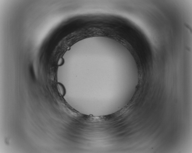 X0000103170239200808221135