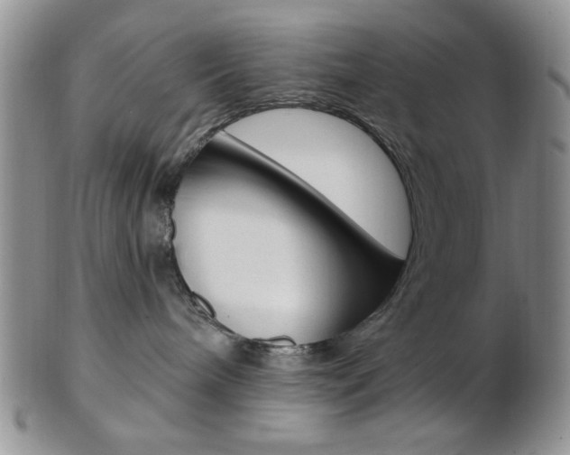 X0000103170240200808221135