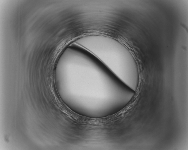 X0000103170241200808221134