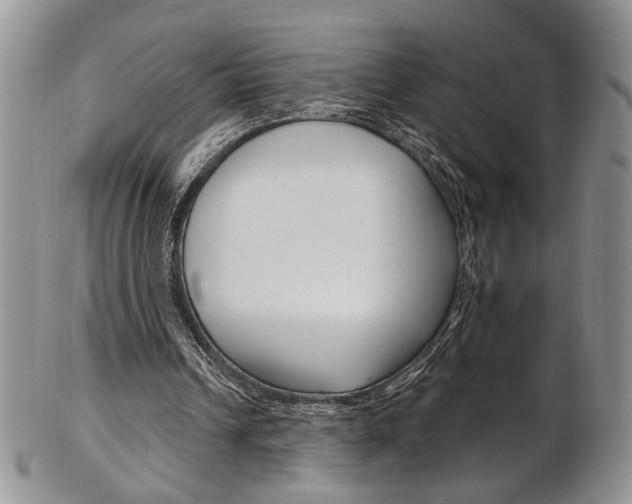 X0000103170242200808221134