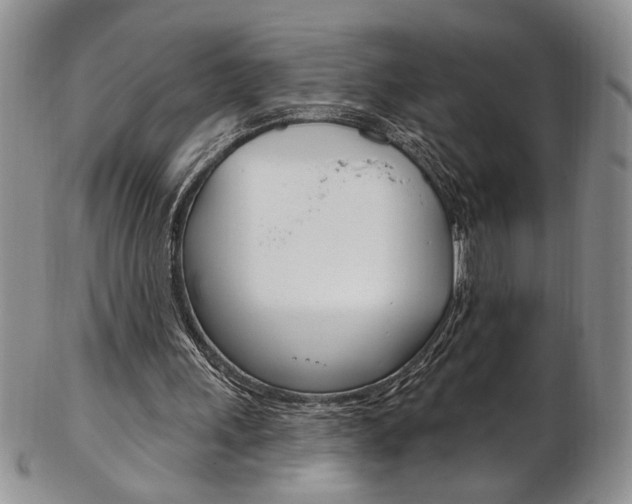 X0000103170243200808221134