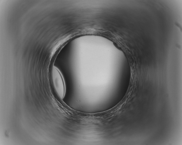 X0000103170244200808221134