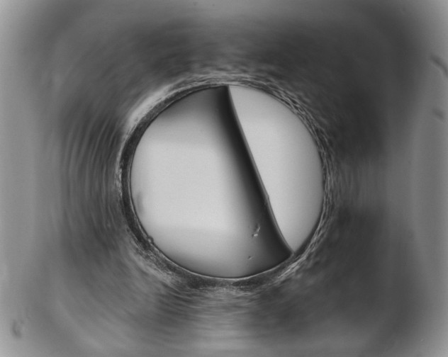 X0000103170246200808221134