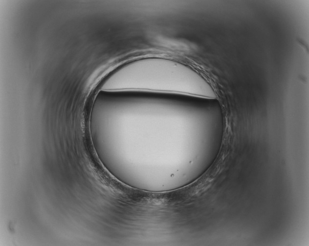 X0000103170247200808221134