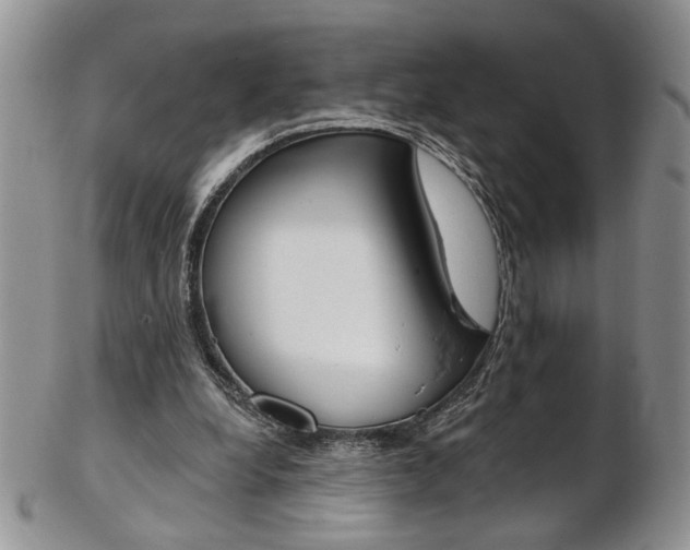 X0000103170248200808221134