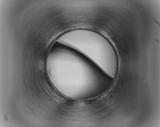 X0000103170249200808221134