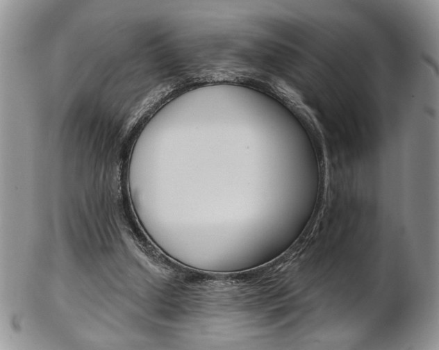 X0000103170250200808221134