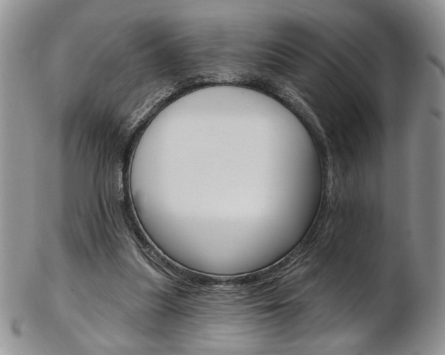 X0000103170251200808221135