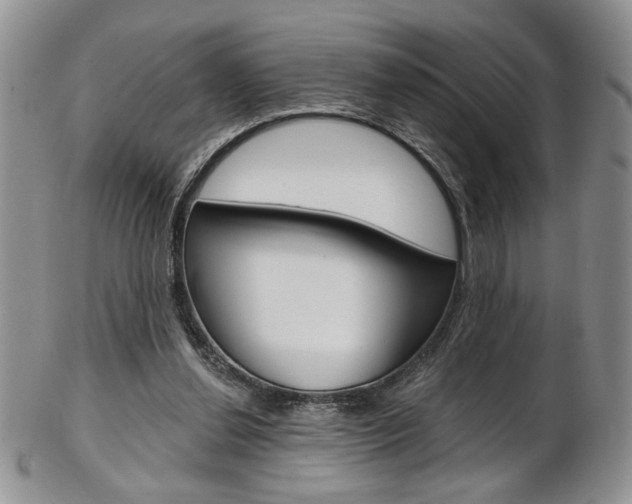 X0000103170252200808221135