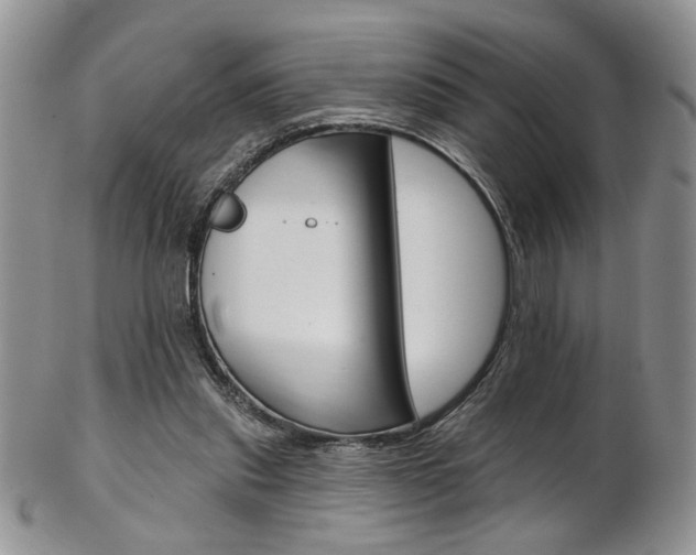 X0000103170253200808221135