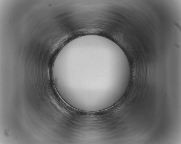 X0000103170254200808221135