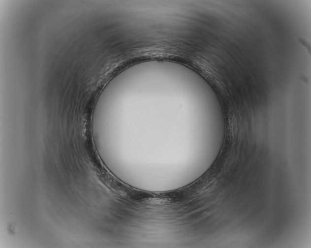 X0000103170255200808221135