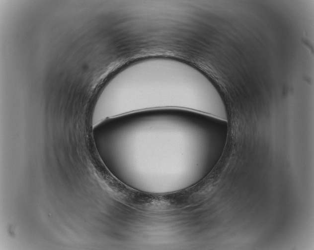 X0000103170256200808221135