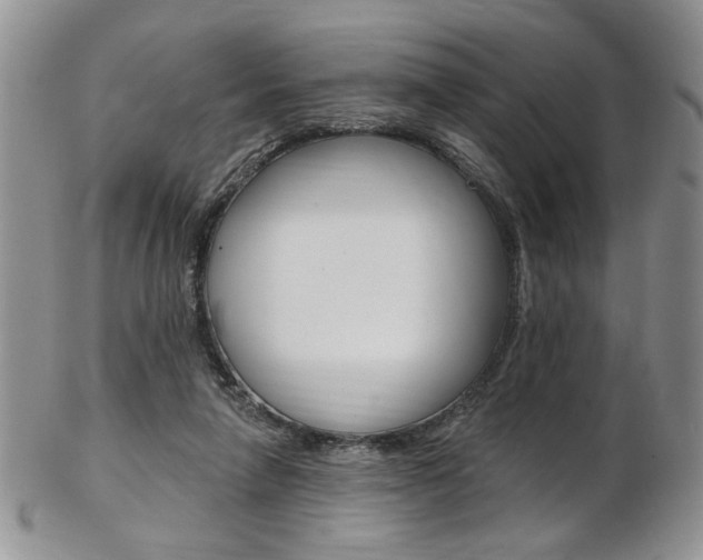 X0000103170258200808221135