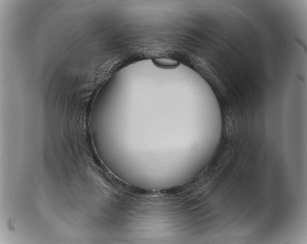 X0000103170259200808221135