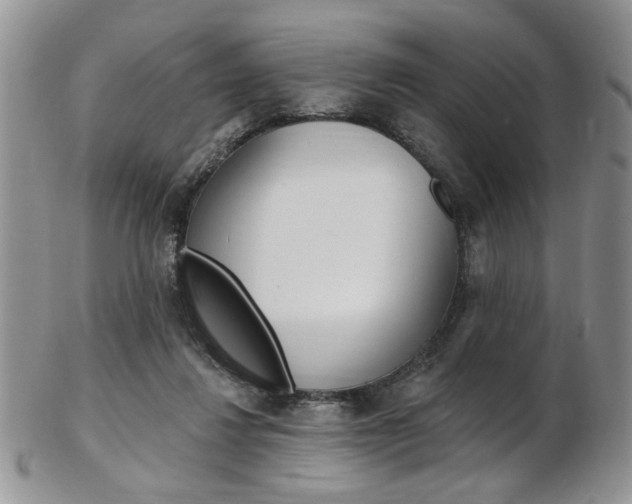 X0000103170260200808221135