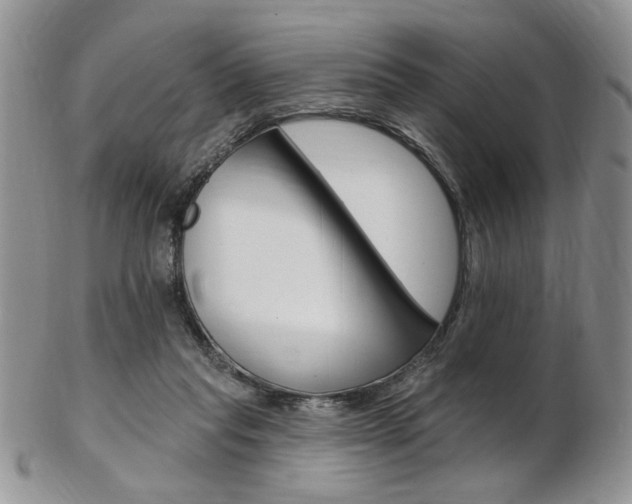 X0000103170261200808221135
