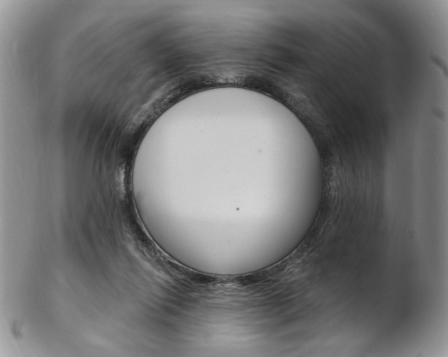 X0000103170262200808221135