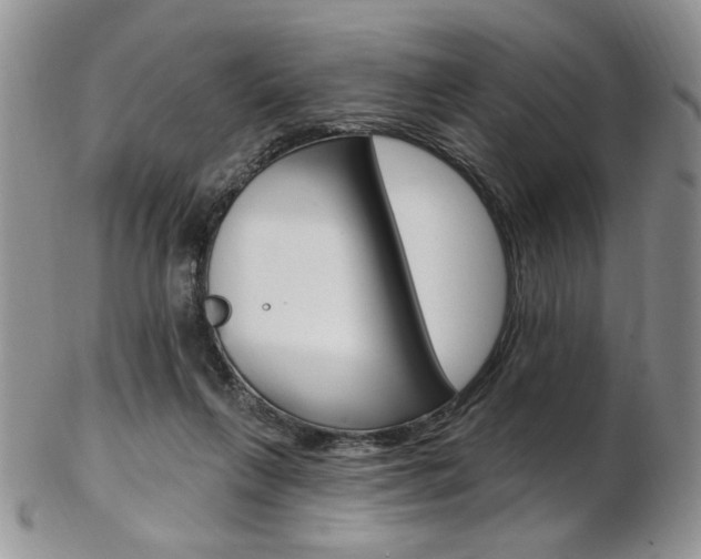 X0000103170263200808221135