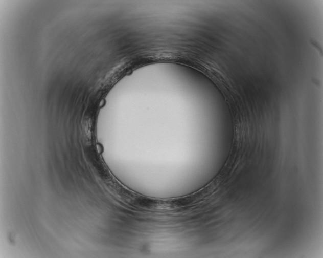 X0000103170264200808221135