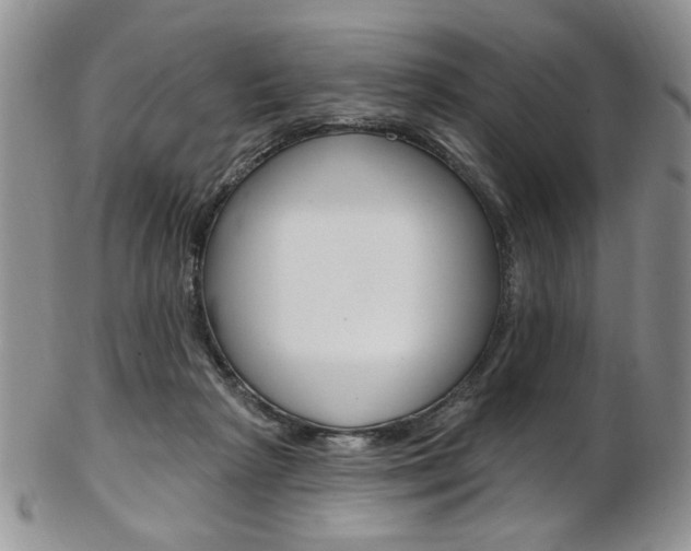 X0000103170265200808221135