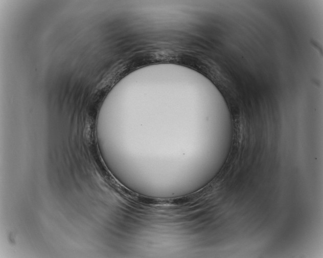 X0000103170266200808221135