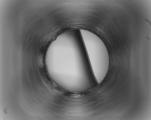 X0000103170267200808221135