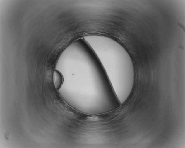 X0000103170269200808221135