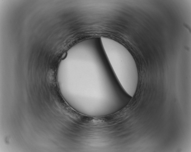X0000103170270200808221135