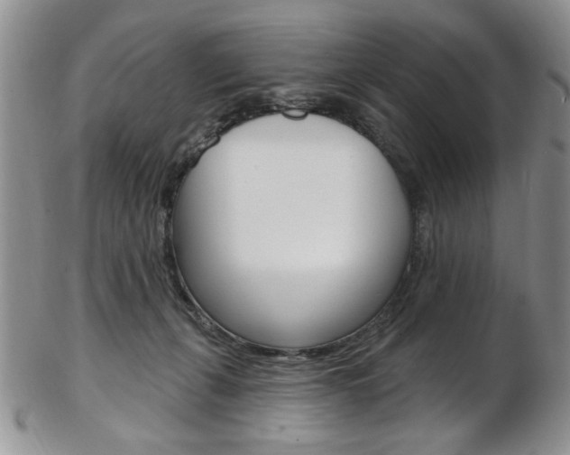 X0000103170271200808221135