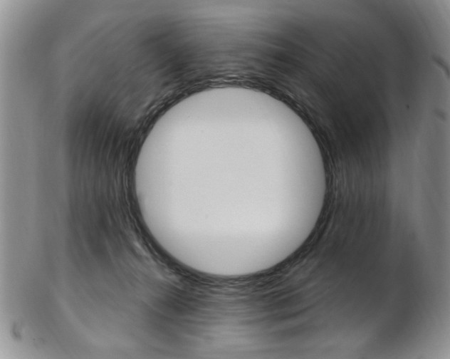 X0000103170272200808221135