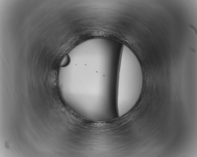 X0000103170273200808221135