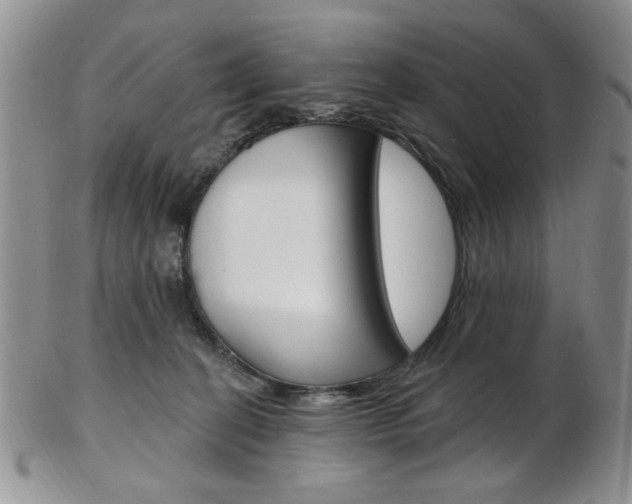 X0000103170274200808221135