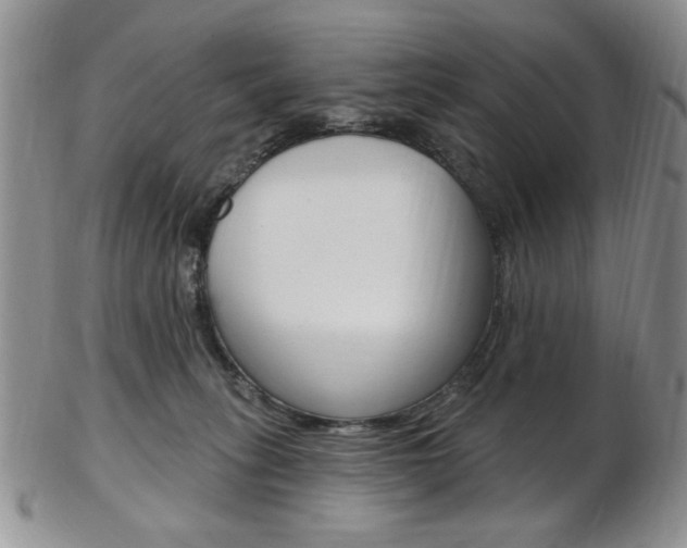 X0000103170275200808221135