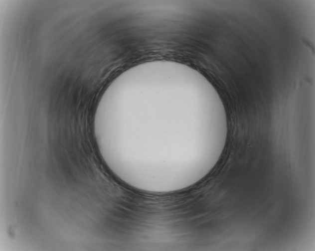 X0000103170276200808221135