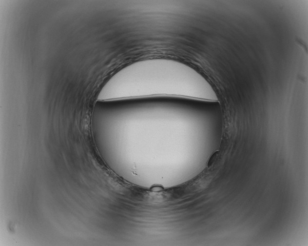 X0000103170277200808221135