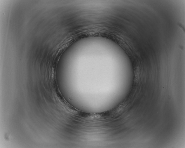 X0000103170278200808221135