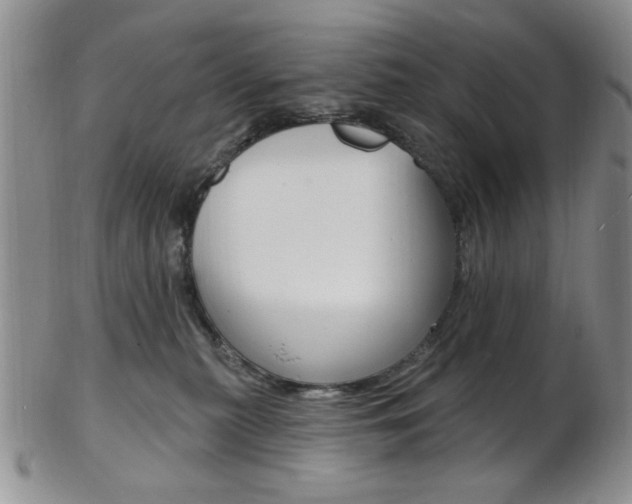 X0000103170279200808221135