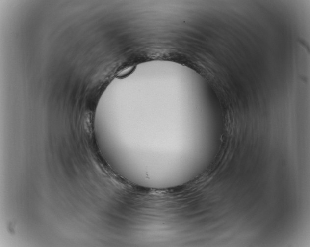 X0000103170280200808221135