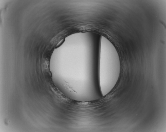 X0000103170281200808221135
