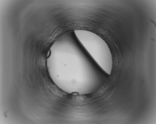 X0000103170282200808221135