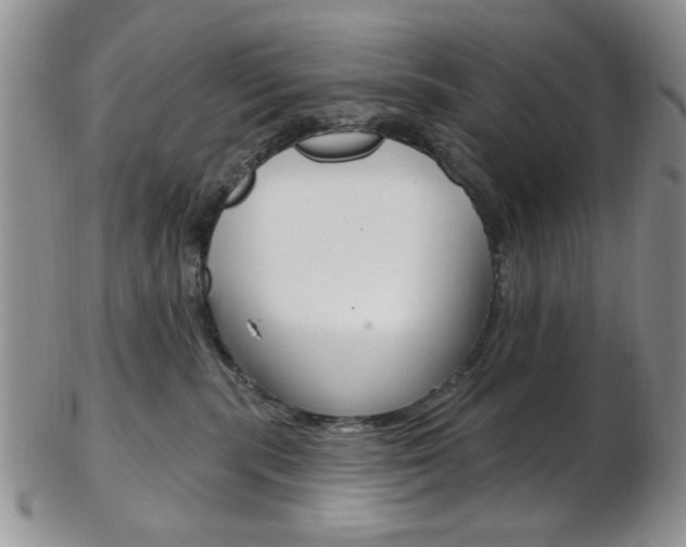 X0000103170283200808221135