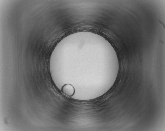 X0000103170284200808221135