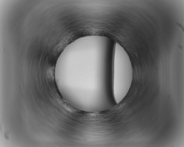 X0000103170286200808221135