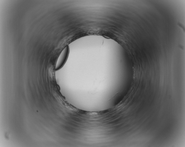 X0000103170287200808221135