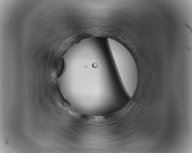 X0000103170288200808221135