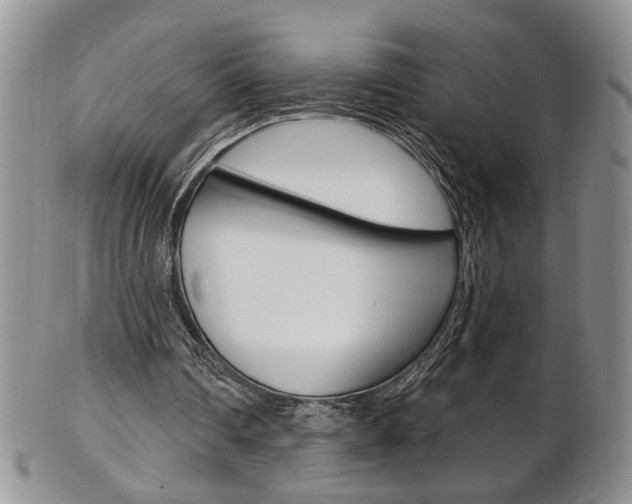 X0000103170290200808221134