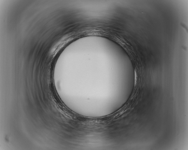 X0000103170291200808221134