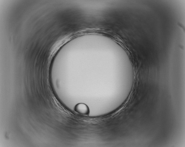 X0000103170293200808221134